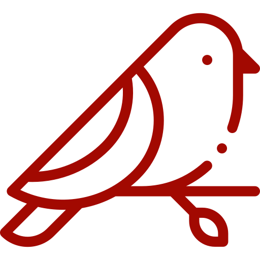 Oiseau sauvage
