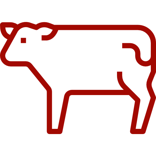 Bétail