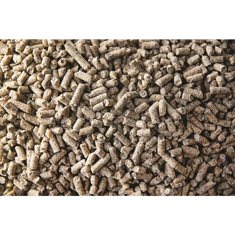 Buckeye Nutrition - GROWTH