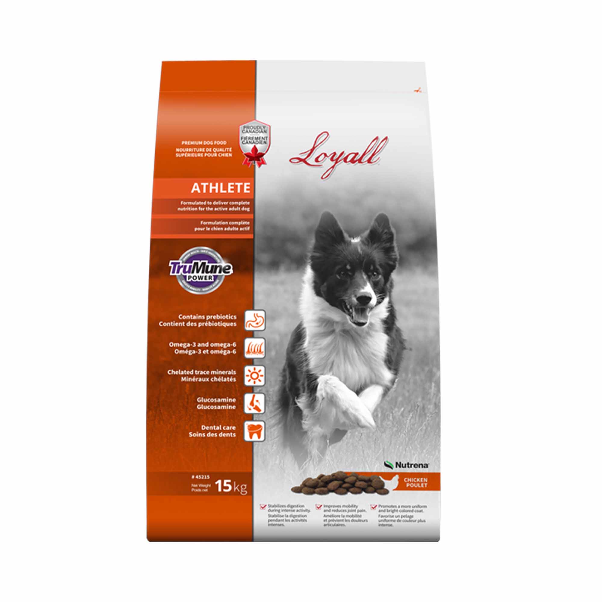 Loyall Athlete Dog