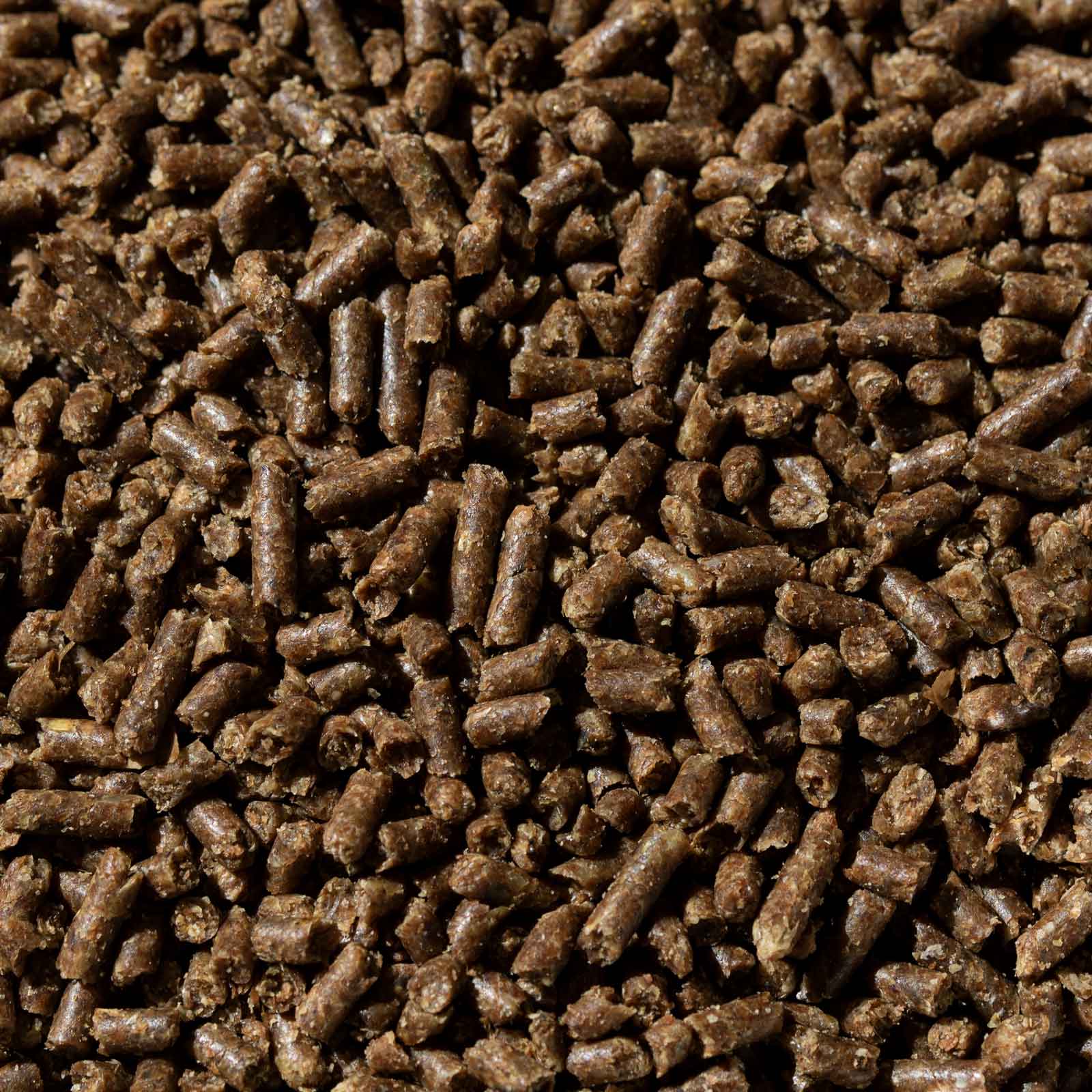 Buckeye Nutrition - SAFE 'N EASY™ PERFORMANCE
