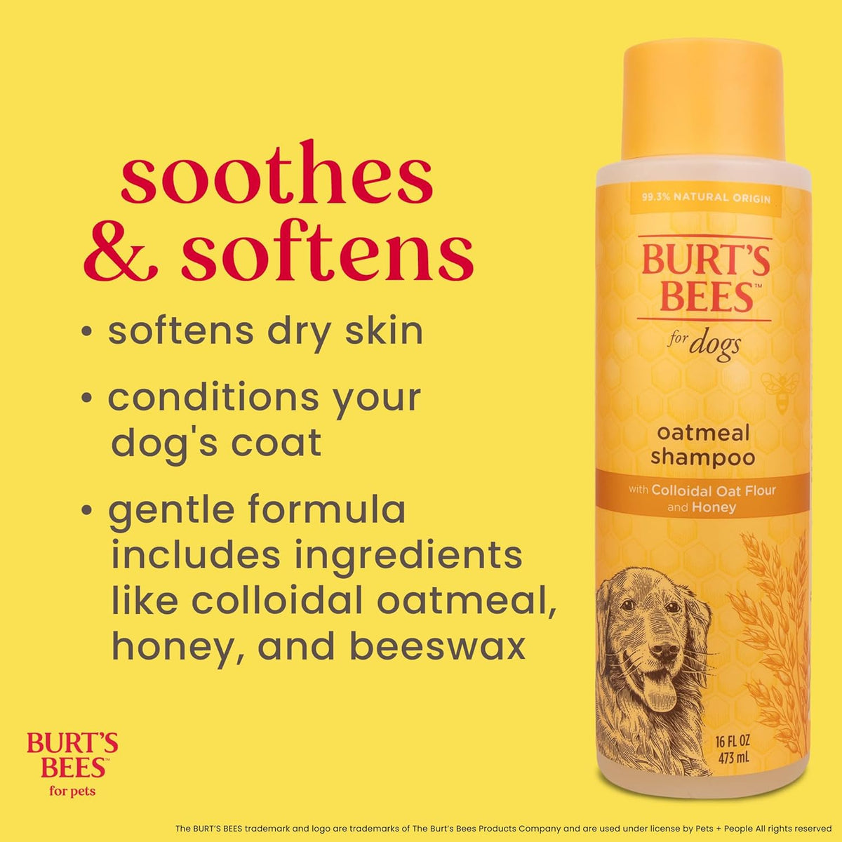 Shampooing à l'avoine colloïdale et au miel - Burt's Bees