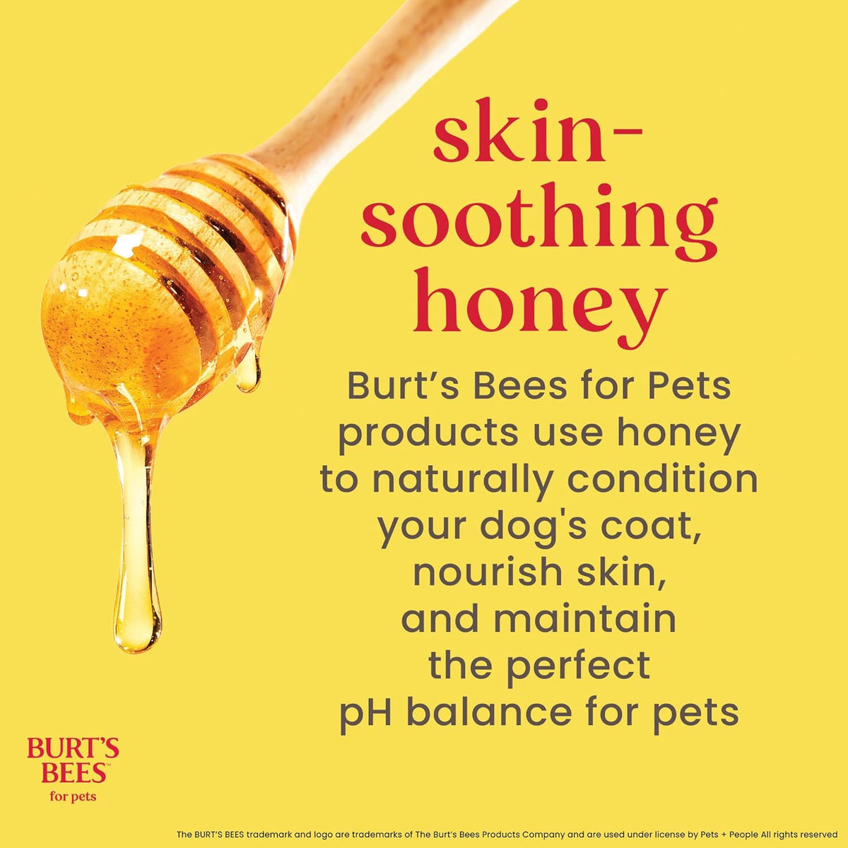 Shampooing à l'avoine colloïdale et au miel - Burt's Bees