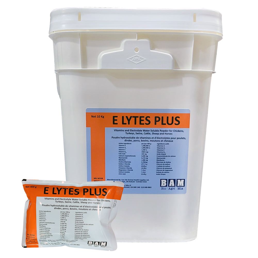 Water-Soluble Vitamin and Electrolyte Powder, Elytes Plus 400g - BAM