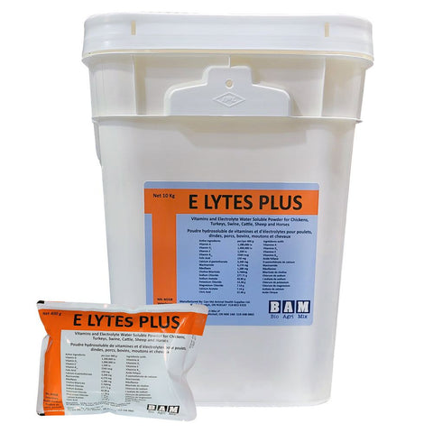 Water-Soluble Vitamin and Electrolyte Powder, Elytes Plus 400g - BAM
