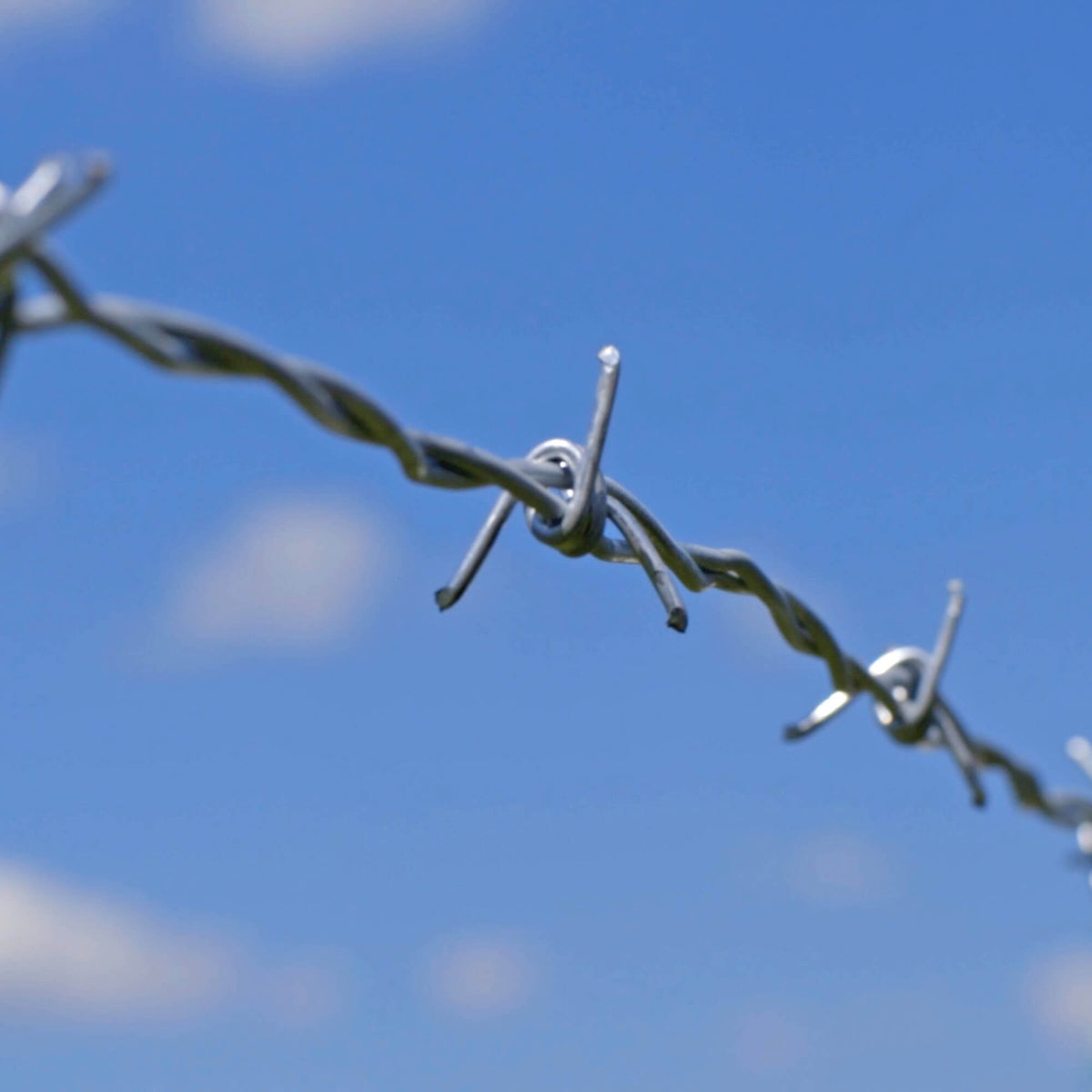 Fil barbelé (12.5Ga), Classe 1 - RANGEMASTER