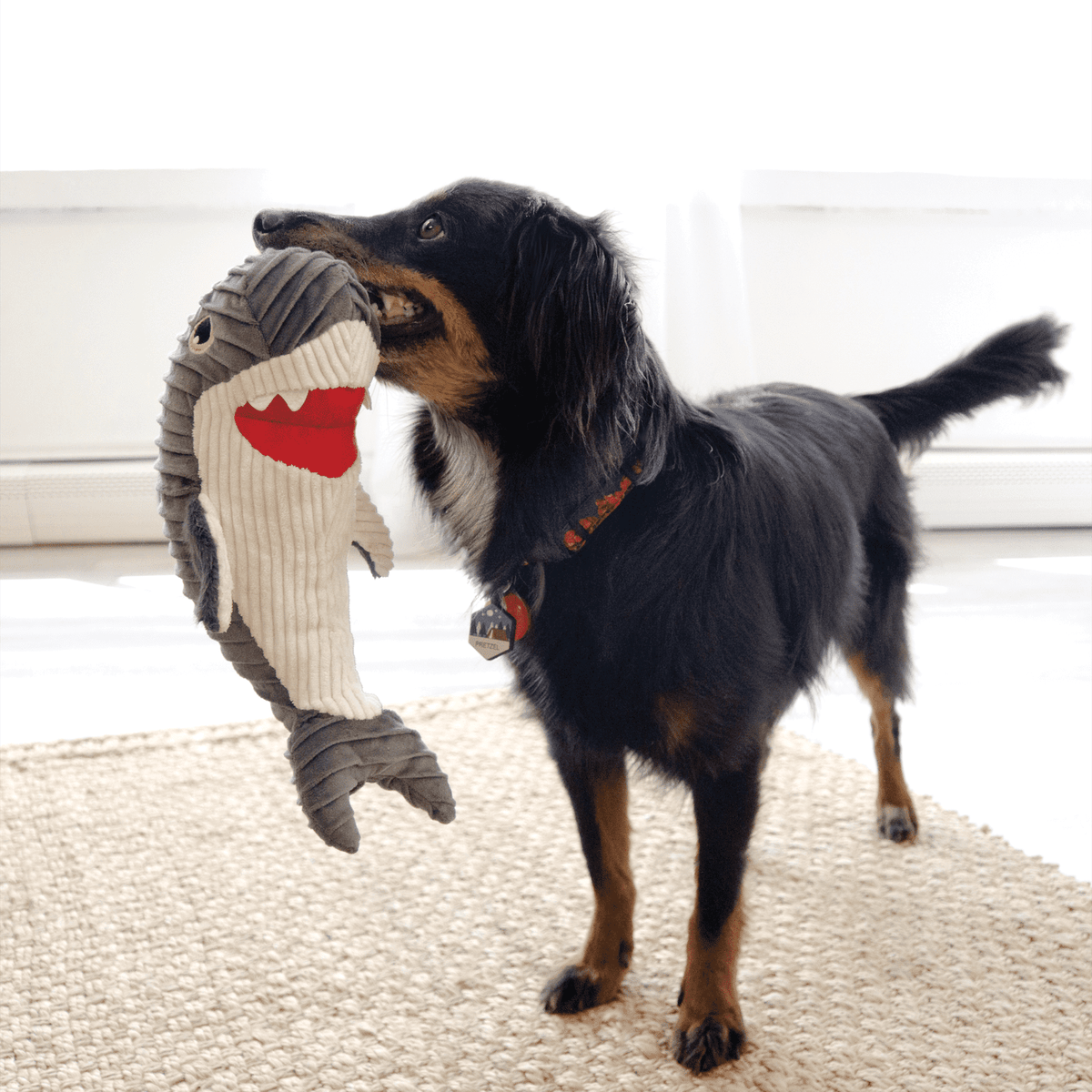 KONG Cuteseas Rufflez Shark Dog Toy