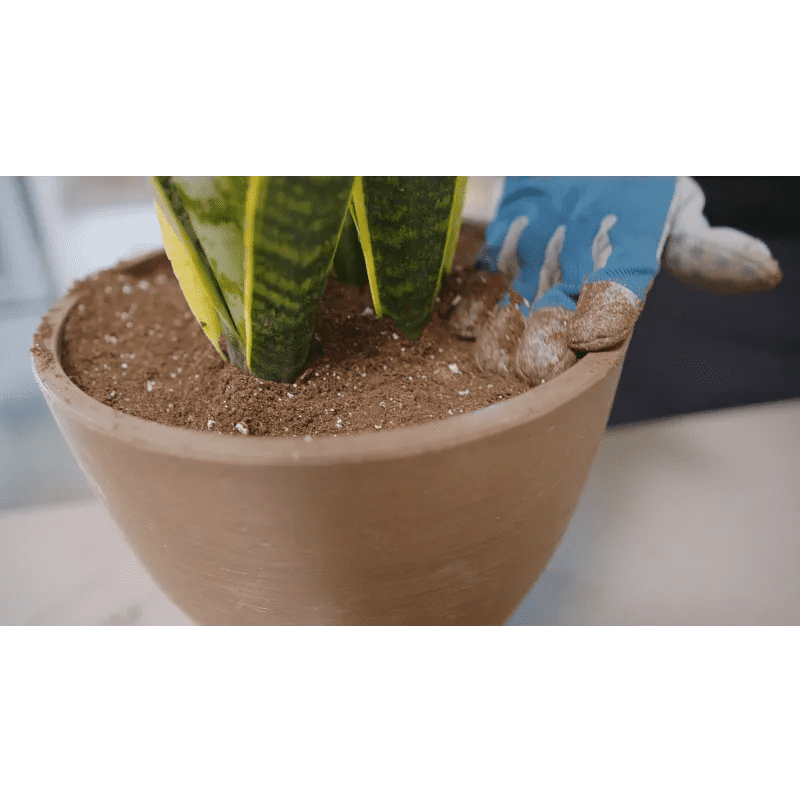 Terreau d'intérieur Miracle-Gro® fibres de coco et perlite, 8,8 L