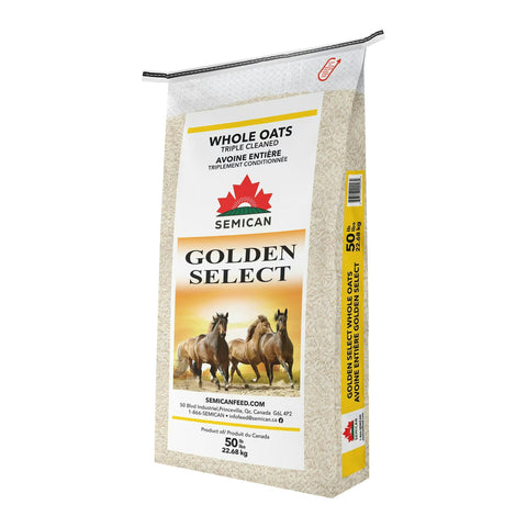 Avoine ronde Golden Select (22.68 kg) - Semican