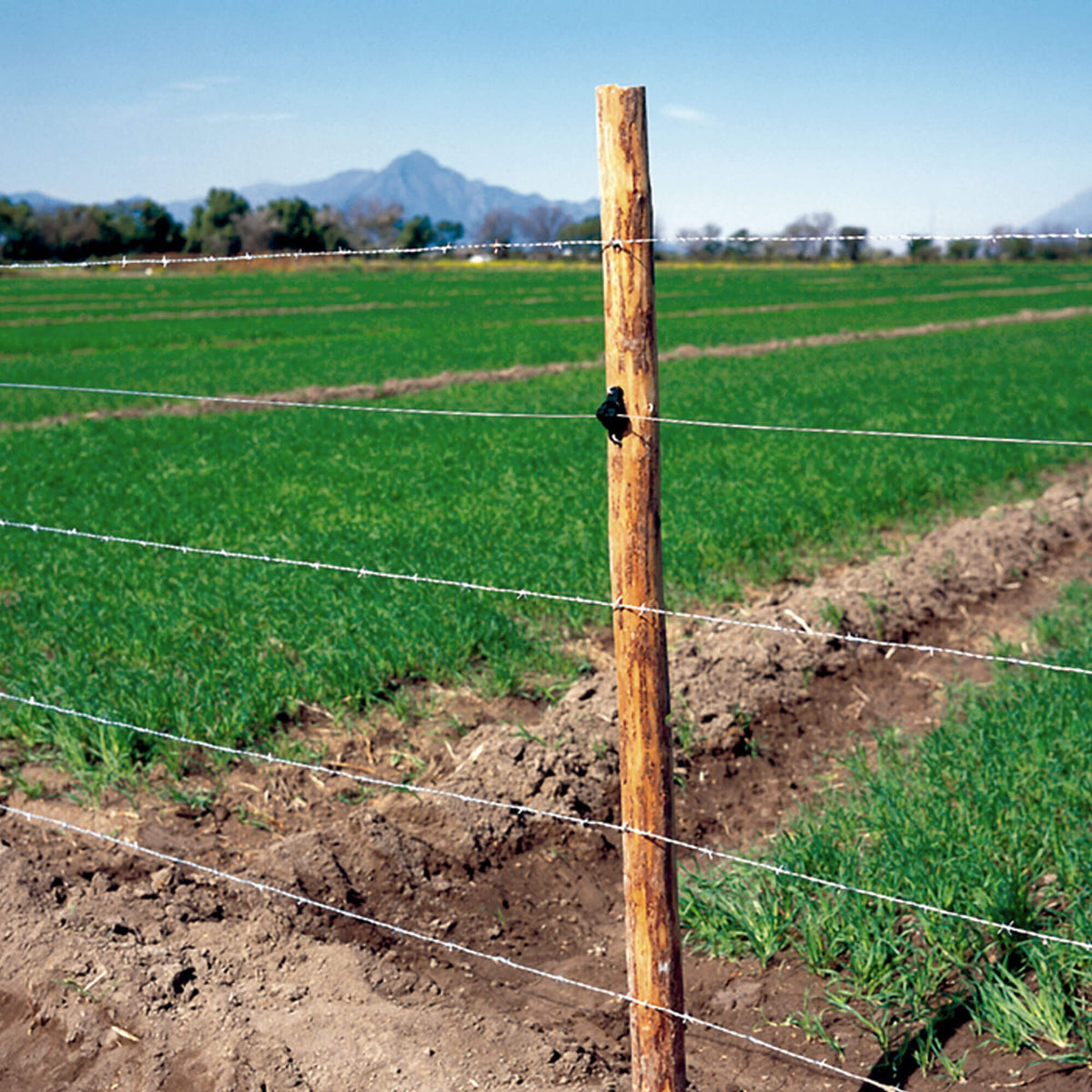 Galvanized Electric Fence Wire 16Ga, 400m (1312')