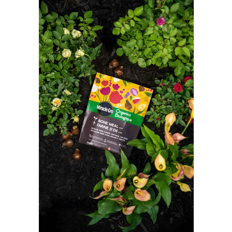 Farine d'os biologique Miracle-Gro® Organics, 1,36 kg
