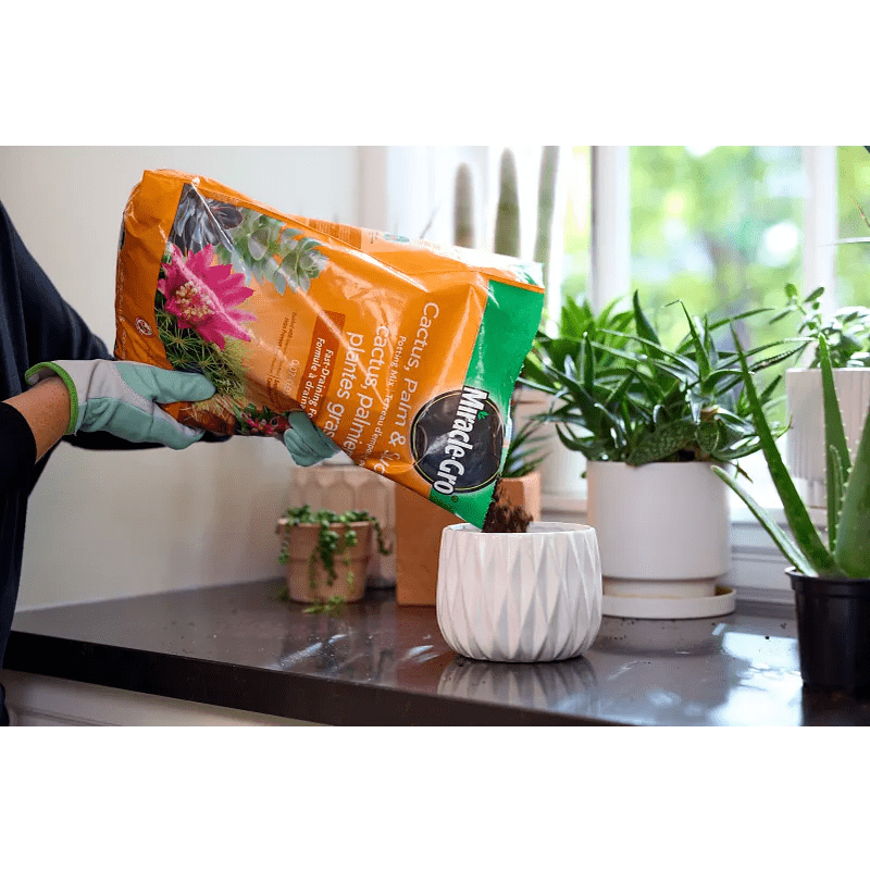 Miracle-Gro® - Cactus, Palm and Succulent Potting Mix, 8.8 L
