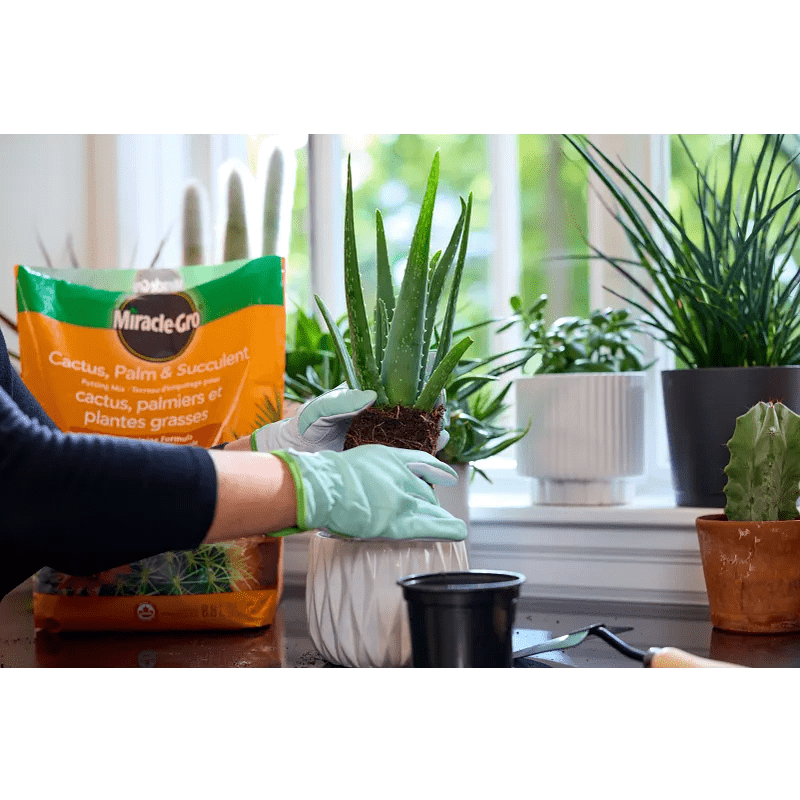 Miracle-Gro® - Cactus, Palm and Succulent Potting Mix, 8.8 L