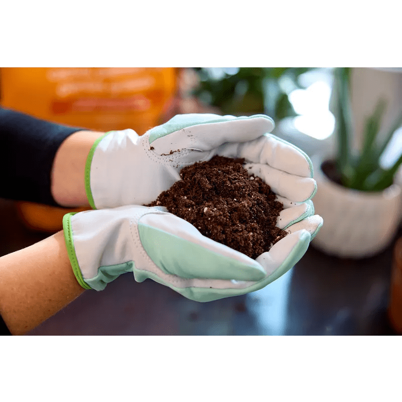 Miracle-Gro® - Cactus, Palm and Succulent Potting Mix, 8.8 L