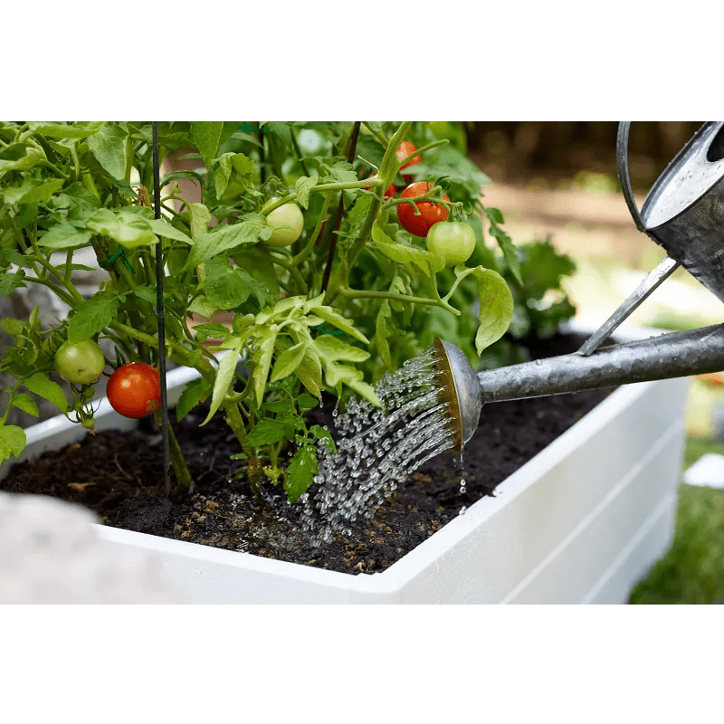 Miracle-Gro® Organics Plant Fertilizer made with pure chicken manure, 2kg 