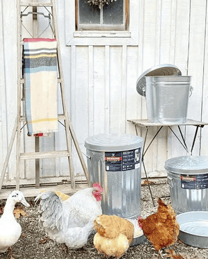 Behrens - 10 Gallon Galvanized Steel Utility / Trash Can with Lid