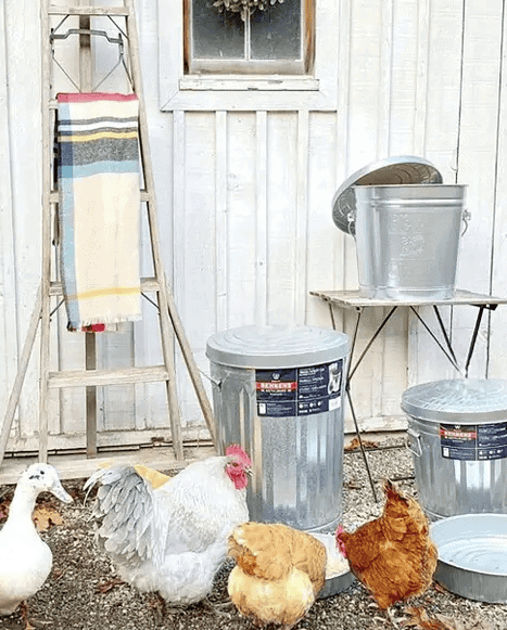 Behrens - 10 Gallon Galvanized Steel Utility / Trash Can with Lid