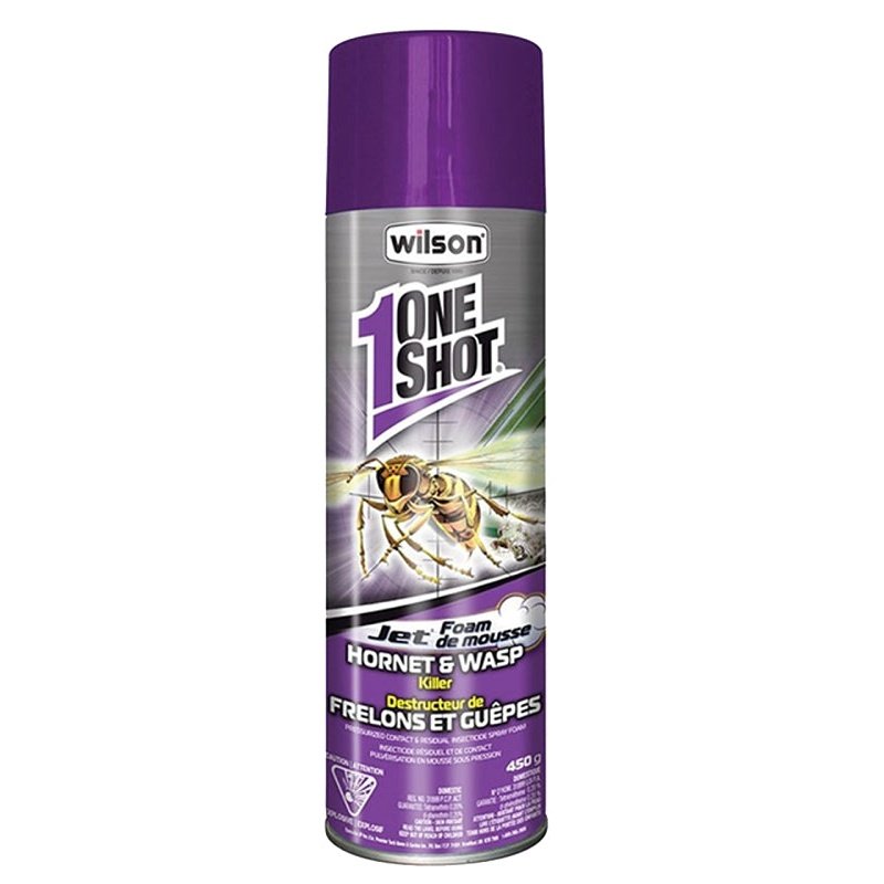 Oneshot Insecticide Foam, 450 g