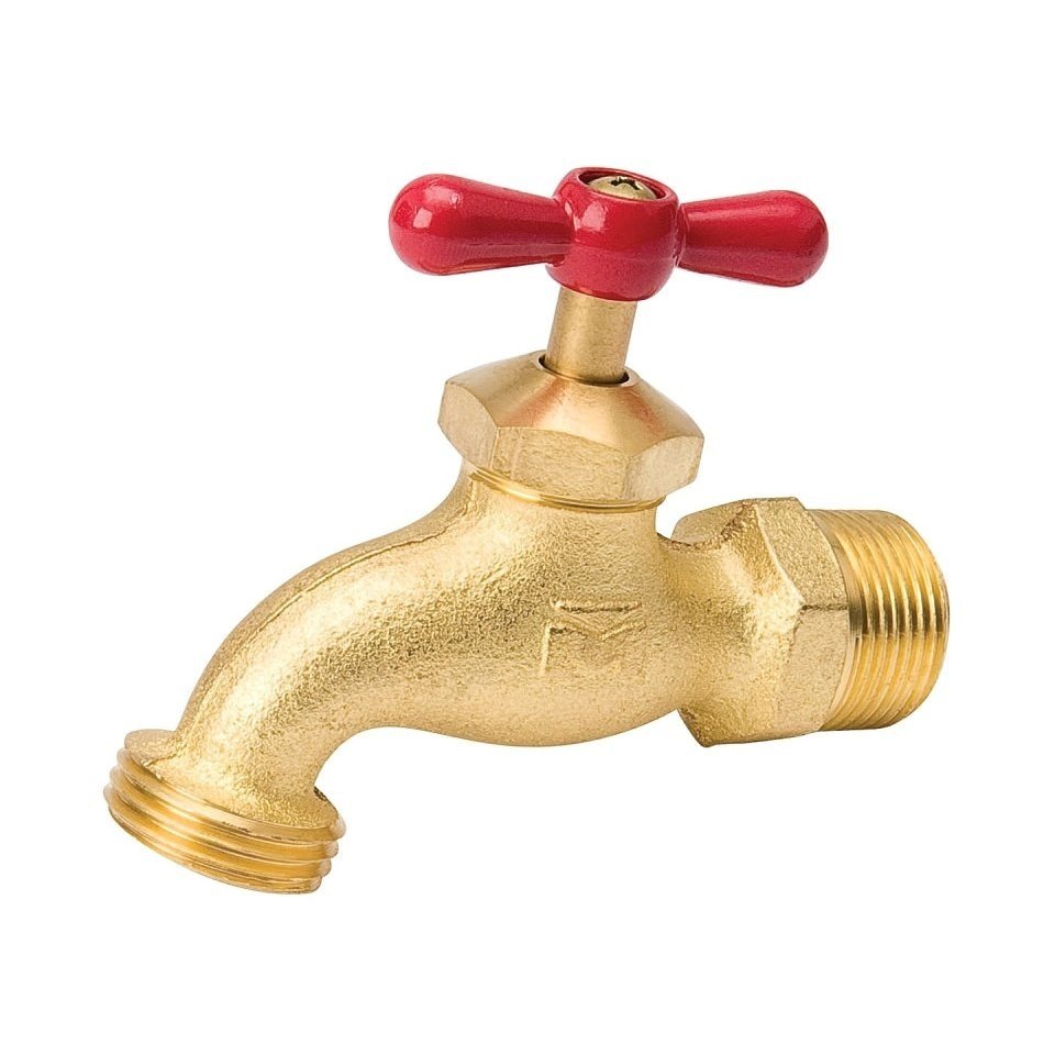 Robinet de tuyau 1/2Ips Pro