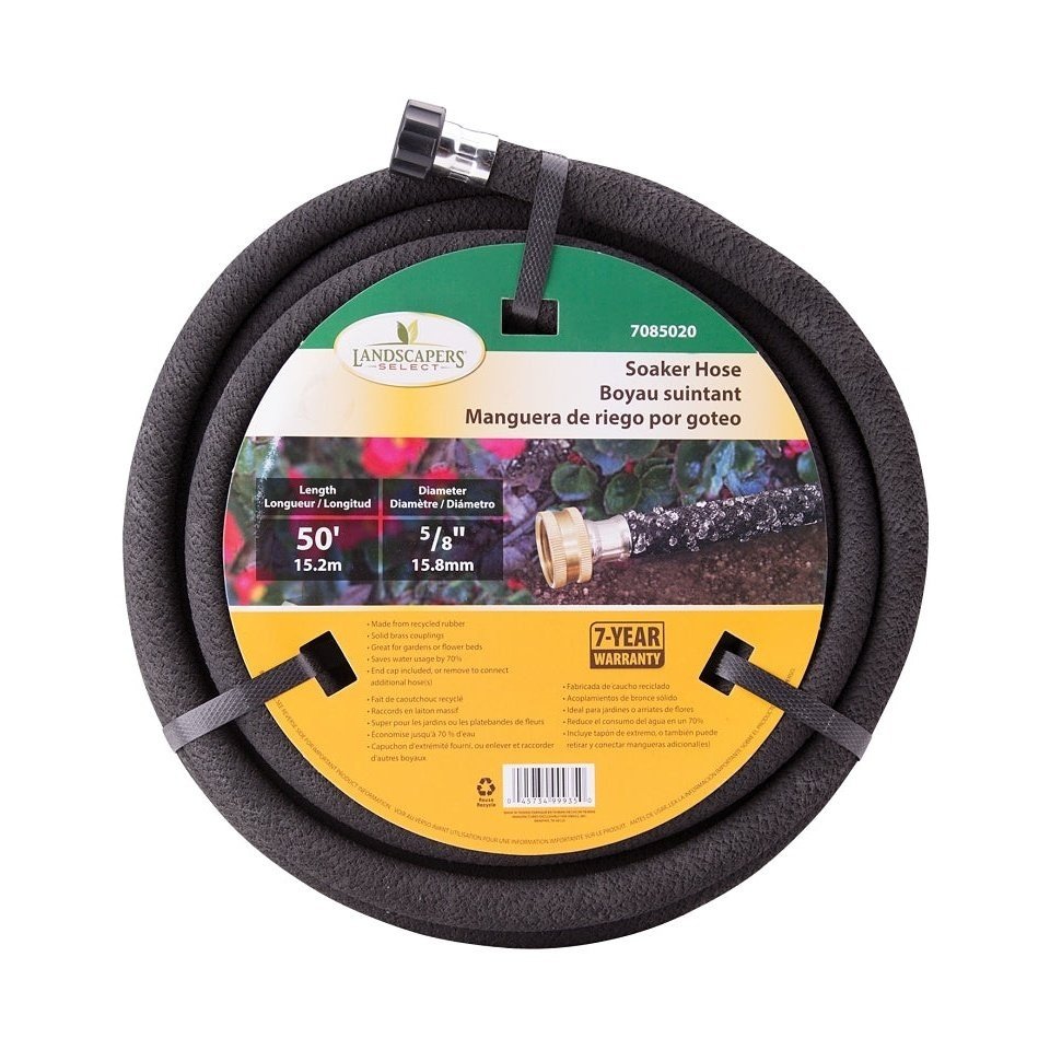 Tuyau d'arrosage suintant de 50 pieds