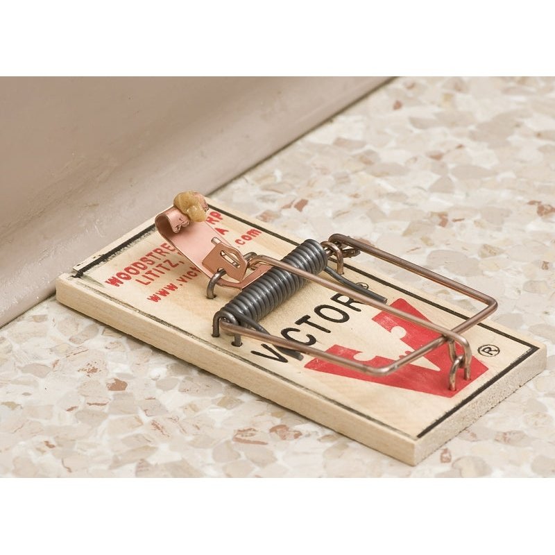 Piège à souris en bois Victor, 1 paquet