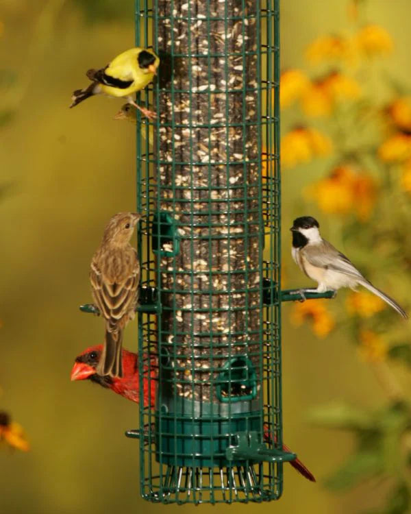 Brome Bird Care - Squirrel Buster® Classic Bird Feeder 