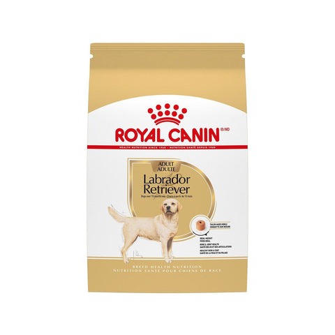 Labrador Retriever adult kibble - Royal Canin