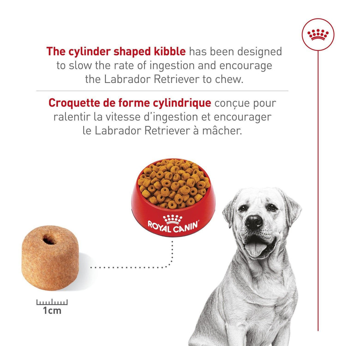 Croquettes Labrador Retriever adulte - Royal Canin
