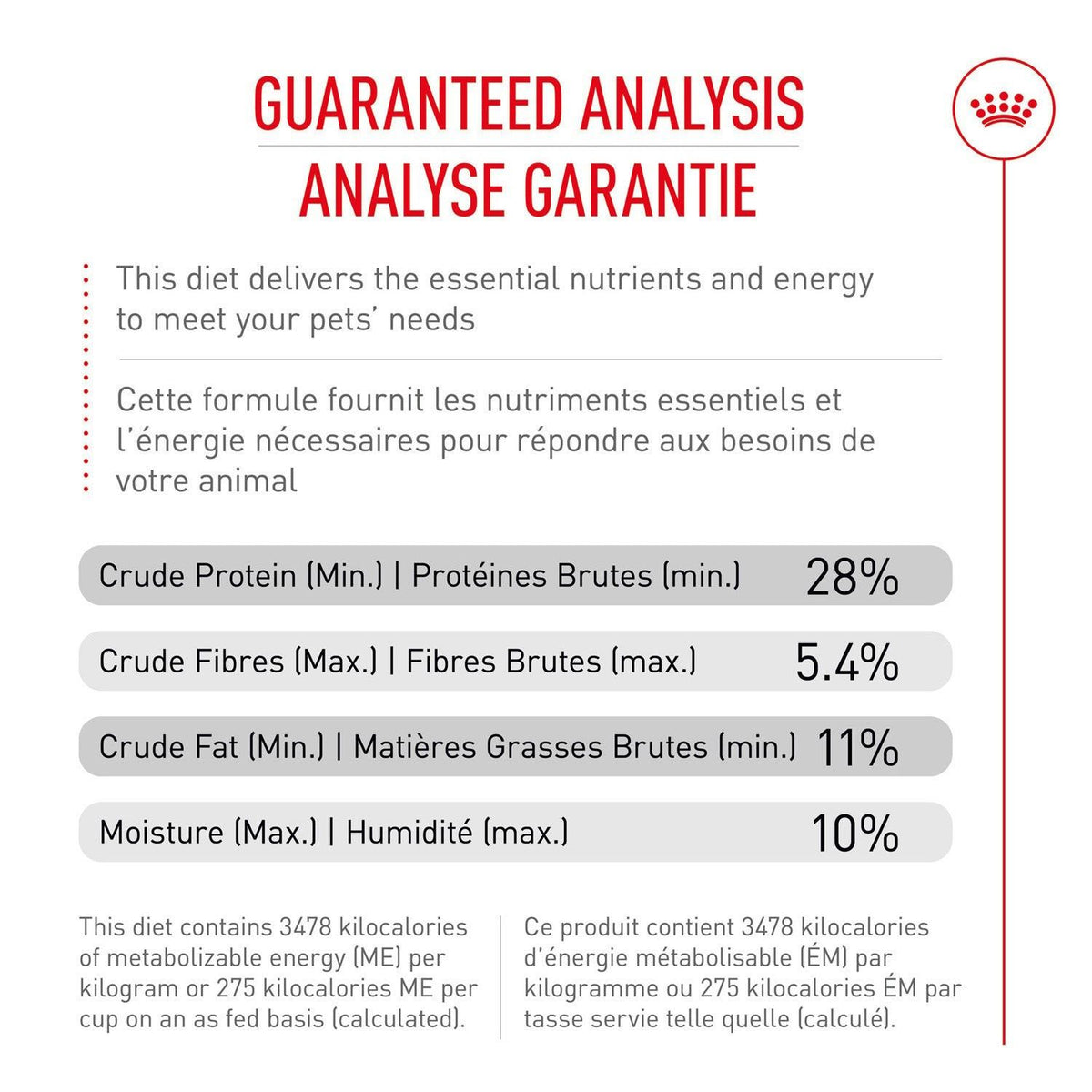 Croquettes Labrador Retriever adulte - Royal Canin