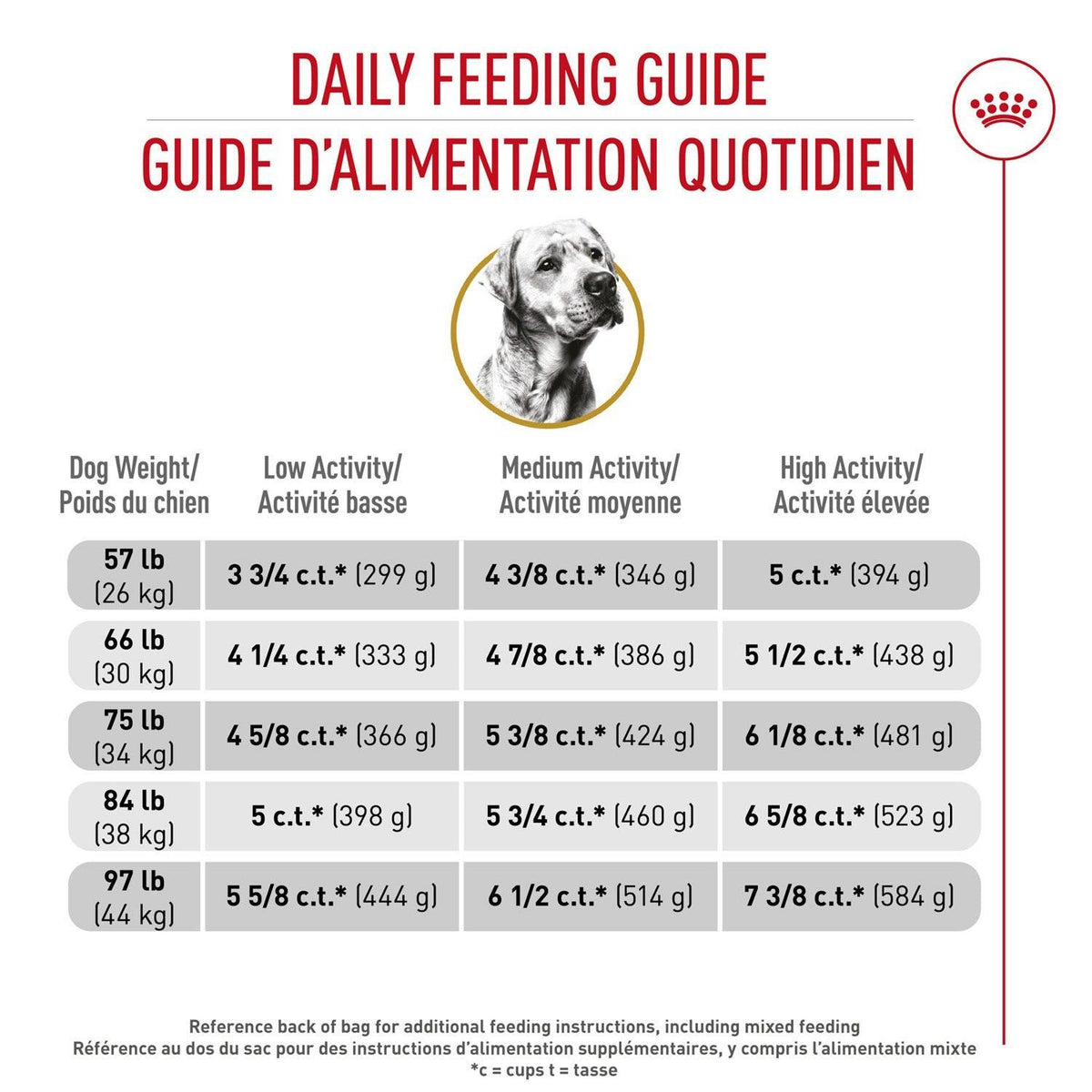 Croquettes Labrador Retriever adulte - Royal Canin