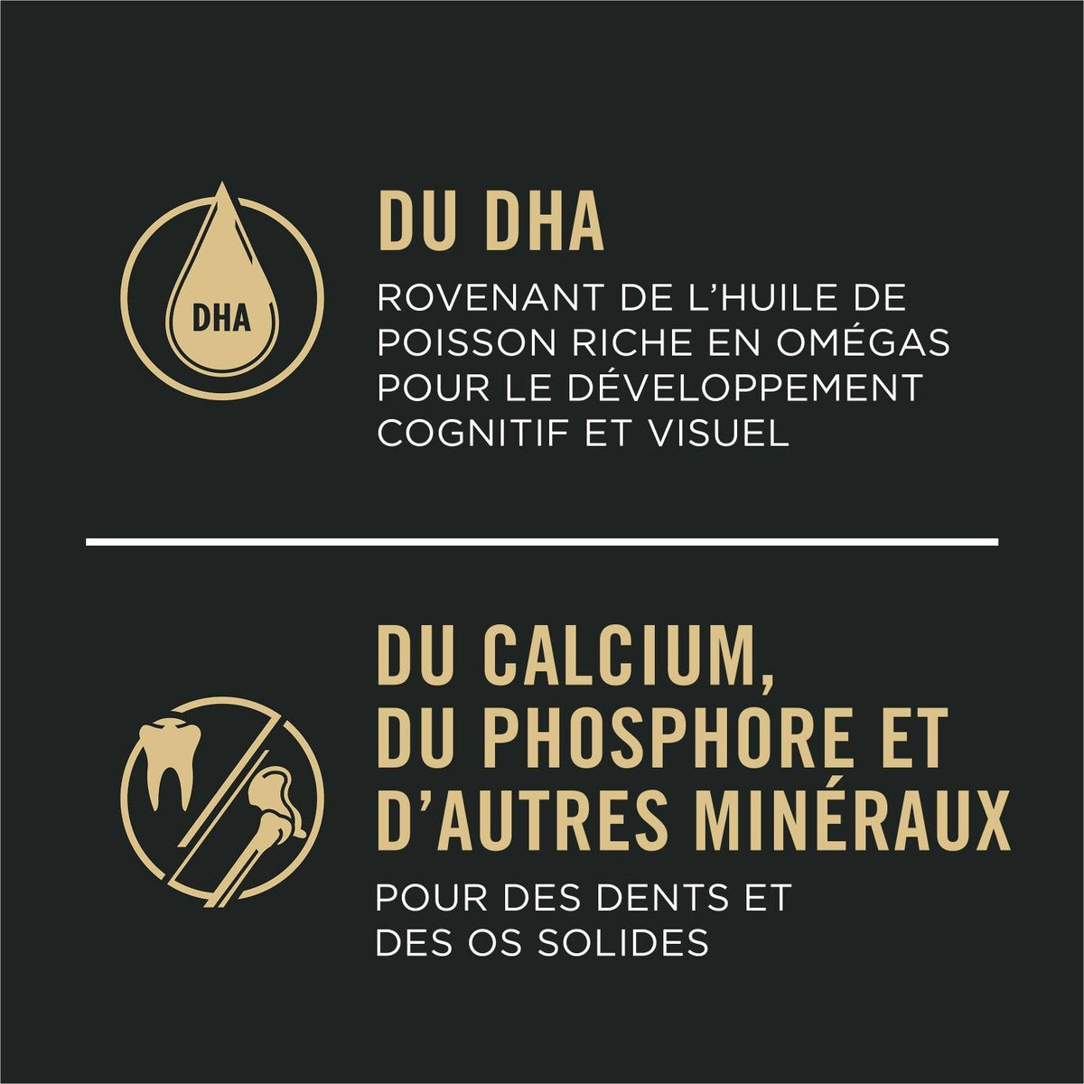 Pro Plan Chiot peau et estomac sensibles formule saumon et riz - Purina