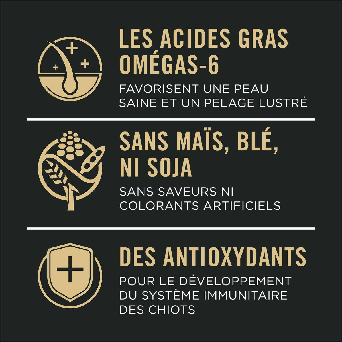 Pro Plan Chiot peau et estomac sensibles formule saumon et riz - Purina