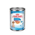 Tranches en sauce pour chiot de race moyenne - Royal Canin