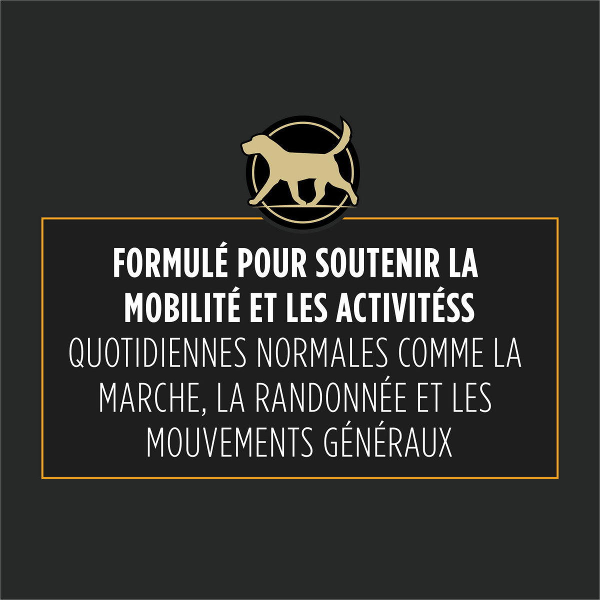 Purina Pro Plan - Canine Joint Care Support Supplements for Dogs