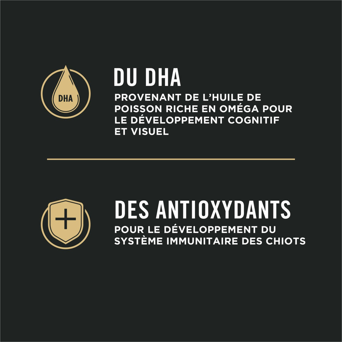 Pro Plan chiot grande race peaux et estomacs sensibles saumon et riz - Purina