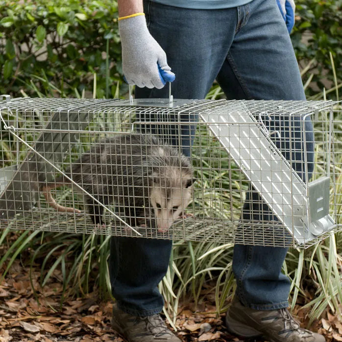 Piège professionnel et standard pour animaux - Havahart 1045