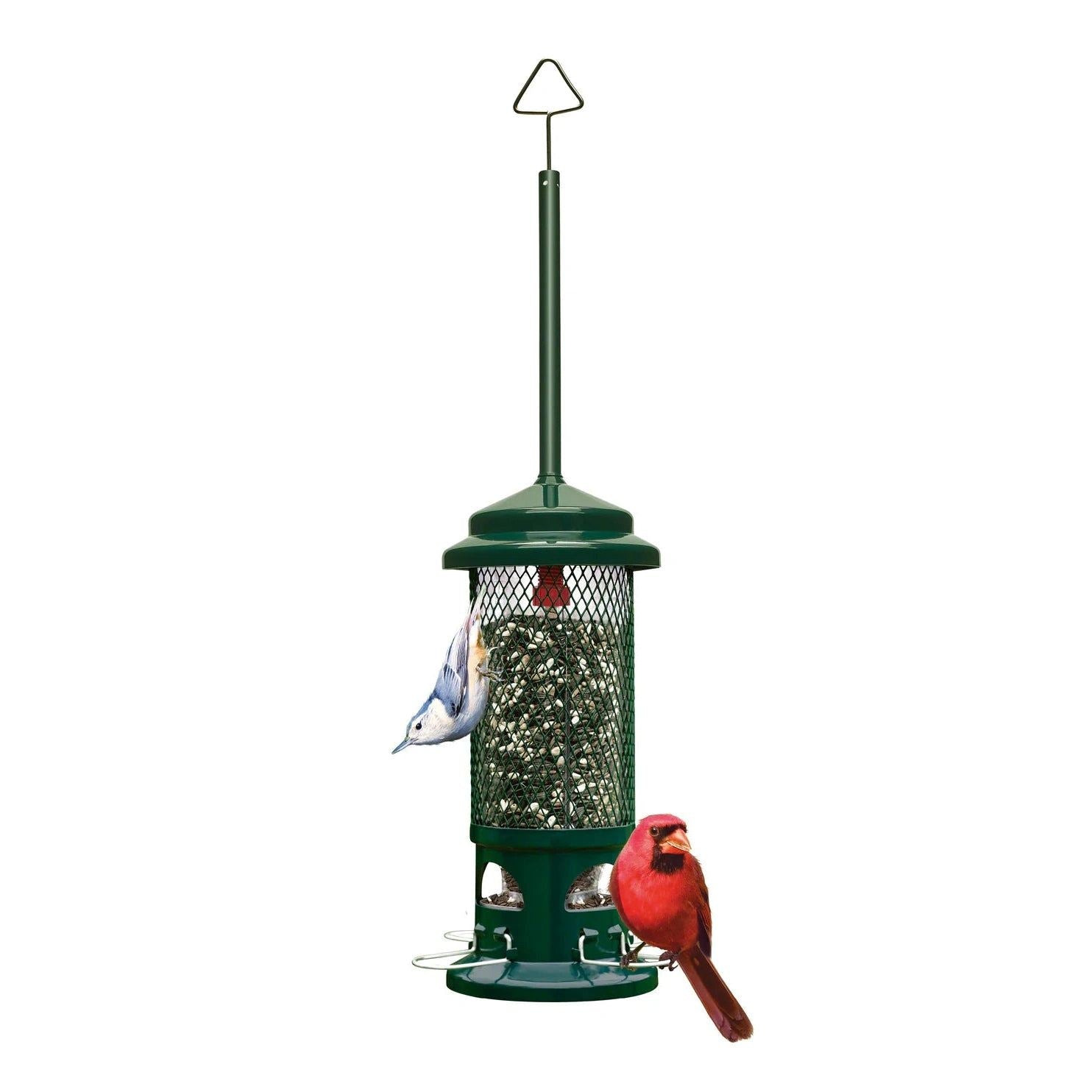 Mangeoire Squirrel Buster® Standard - Brome Bird Care