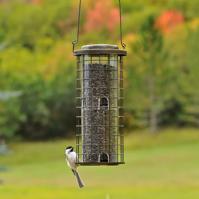 Perky Pet® - Squirrel Resistant Wild Bird Feeder