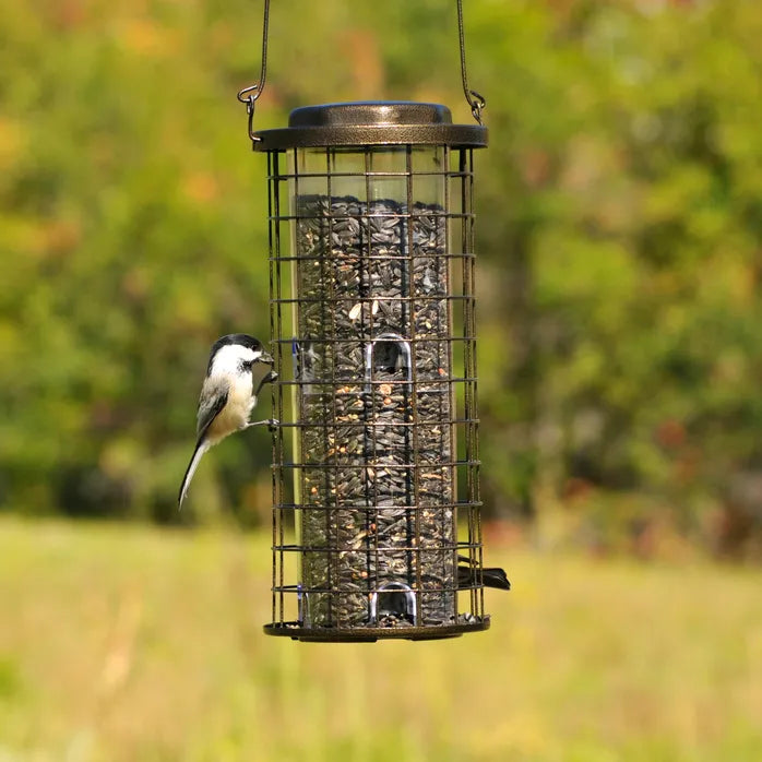 Perky Pet® - Squirrel Resistant Wild Bird Feeder
