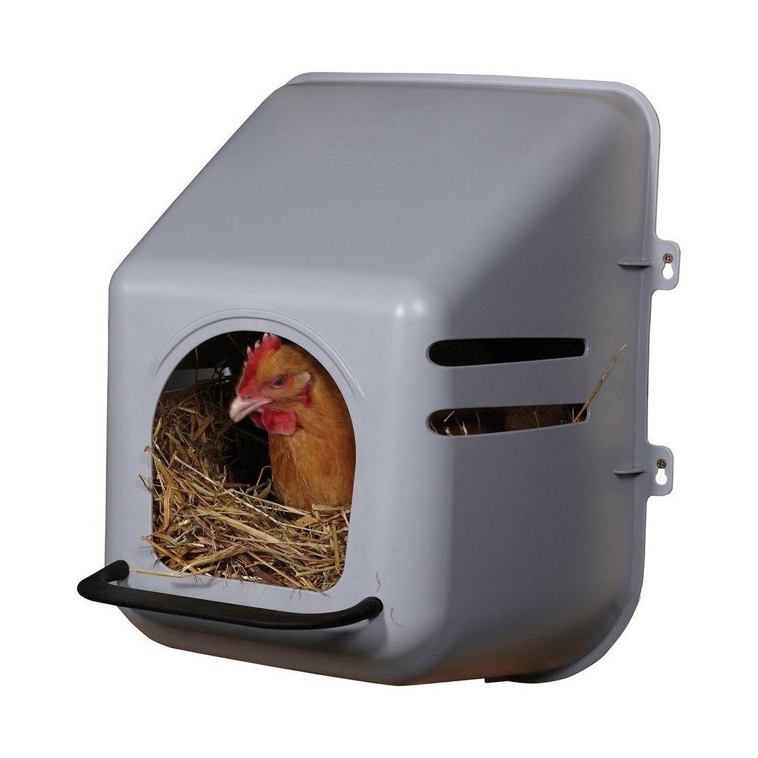 Little Giant - Poultry Nesting Box
