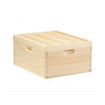 Little Giant - 10-Frame Deep Hive Body 