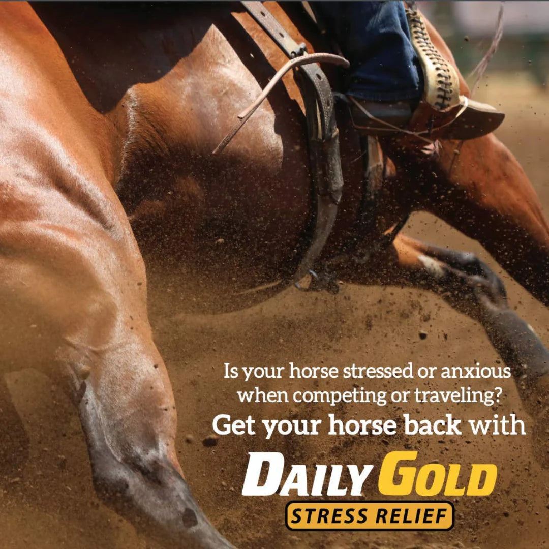 Redmond Daily Gold® Syringe - Paste for Digestive Stress Relief 