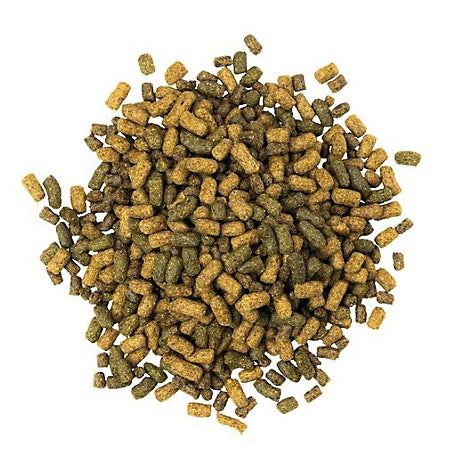 Blue Seal - Sentinel Active Senior Extruded Horse Feed