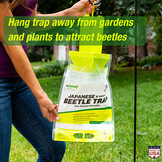 Piège à scarabée japonais - Rescue
