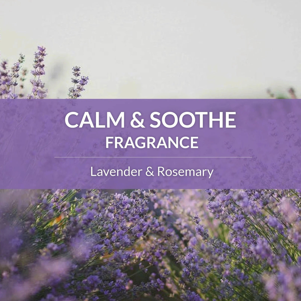 Shampooing et revitalisant probiotique pour chiens - Skout's Honor