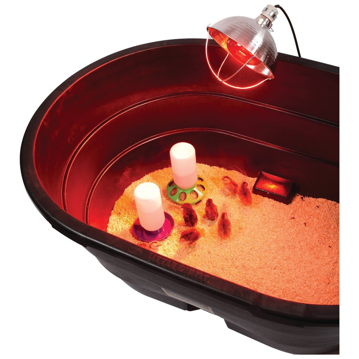 Little Giant - 250 Watt Red Heat Bulb 