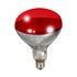 Ampoule chauffante rouge de 250 watts - Little Giant