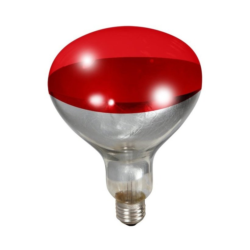 Little Giant - 250 Watt Red Heat Bulb 