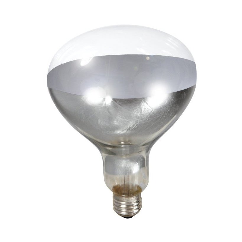 Little Giant - 250 Watt Clear Heat Bulb 