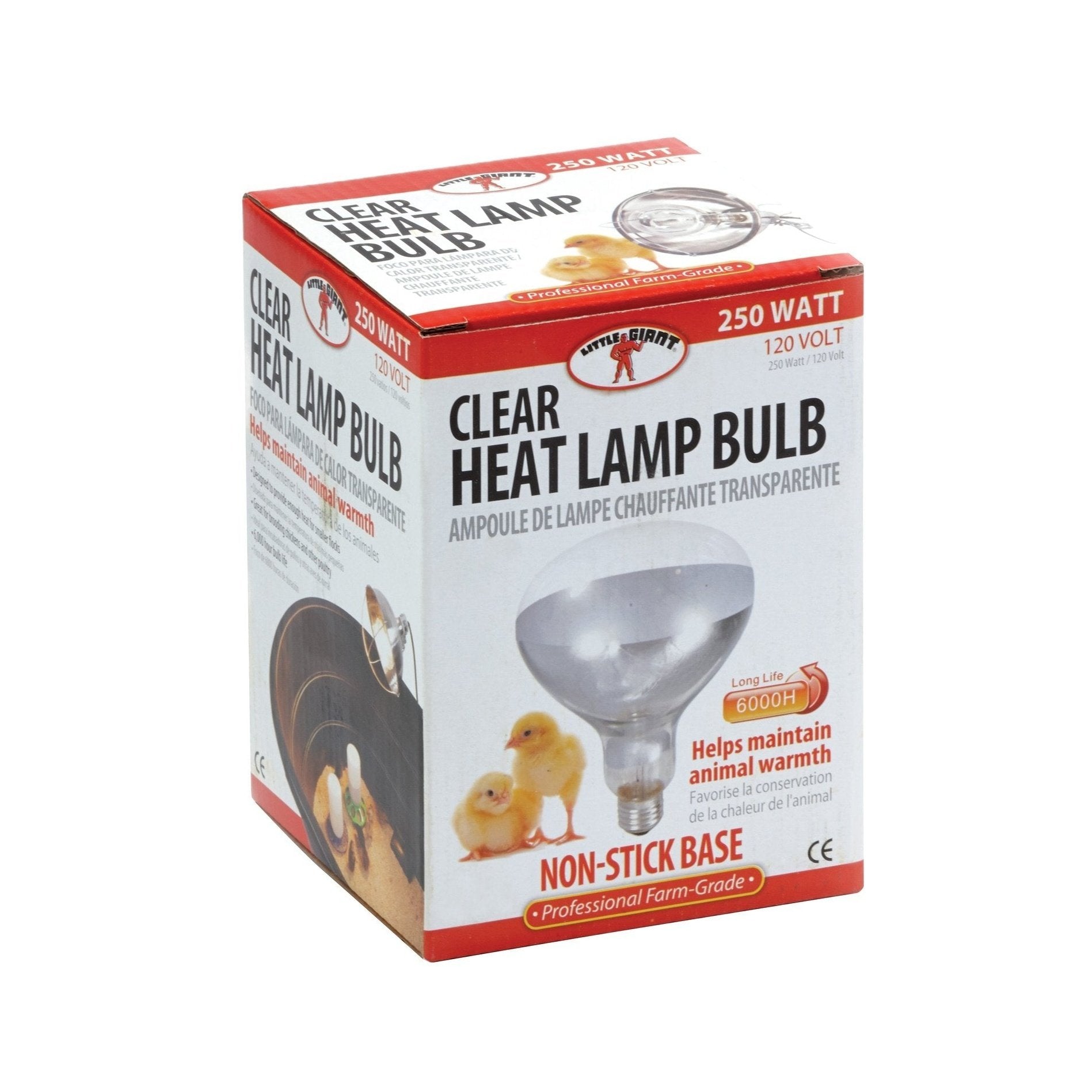Little Giant - 250 Watt Clear Heat Bulb 